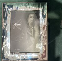 Cornice Ranieri in Bilaminato argento 256/2